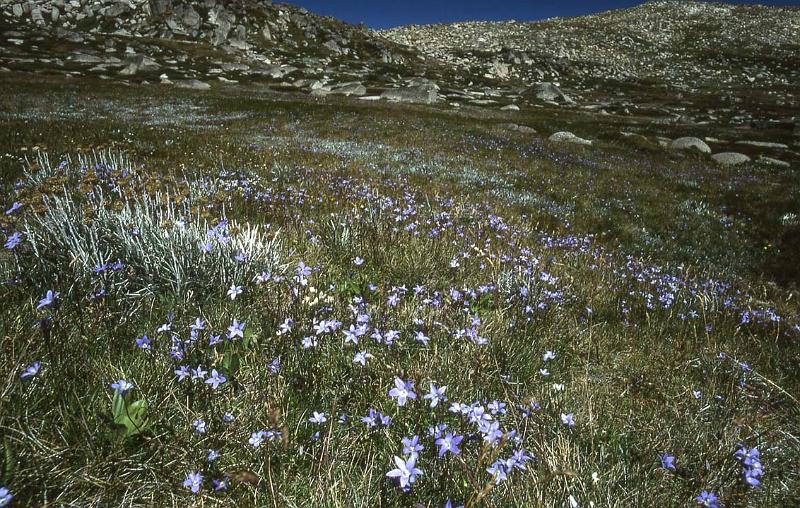 RWT 0060 065-17 Australia Mt Kosciusko.jpg